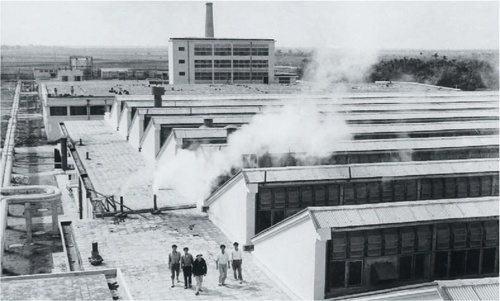 Nhà máy dệt 8-3 được xây dựng và khánh thành năm 1965